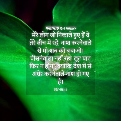Picture 04 - यशायाह 16:4 HINIRV - मेरे लोग जो निकाले - Bible Verse Picture