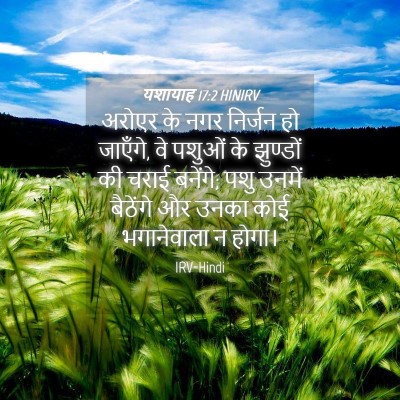 Picture 04 - यशायाह 17:2 HINIRV - अरोएर के नगर - Bible Verse Picture