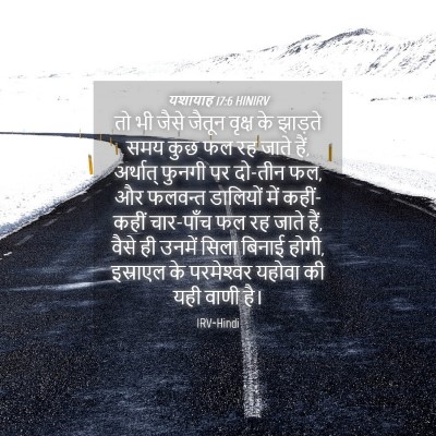 Picture 04 - यशायाह 17:6 HINIRV - तो भी जैसे जैतून - Bible Verse Picture