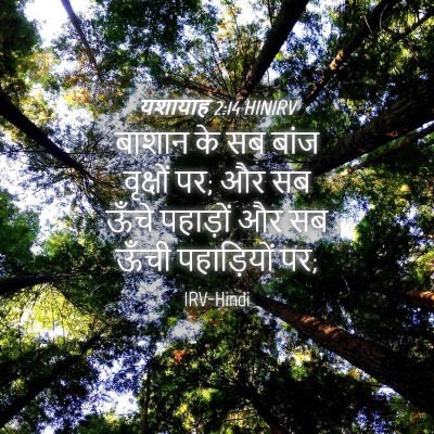 Picture 04 - यशायाह 2:14 HINIRV - बाशान के सब बांज - Bible Verse Picture