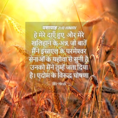Picture 04 - यशायाह 21:10 HINIRV - हे मेरे दाएँ हुए, - Bible Verse Picture