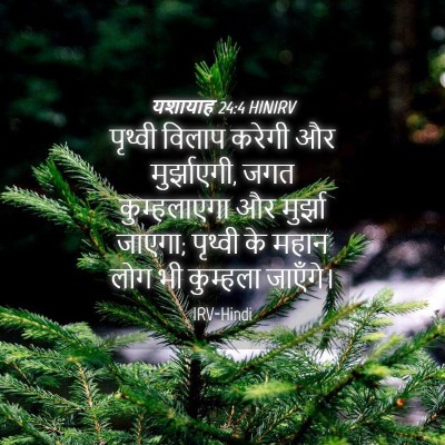 Picture 04 - यशायाह 24:4 HINIRV - पृथ्वी विलाप - Bible Verse Picture