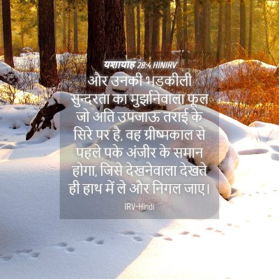 Picture 04 - यशायाह 28:4 HINIRV - और उनकी भड़कीली - Bible Verse Picture