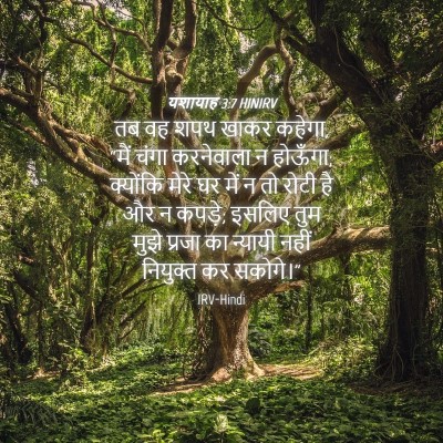 Picture 04 - यशायाह 3:7 HINIRV - तब वह शपथ खाकर - Bible Verse Picture