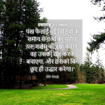 Picture 04 - यशायाह 31:5 HINIRV - पंख फैलाई हुई - Bible Verse Picture
