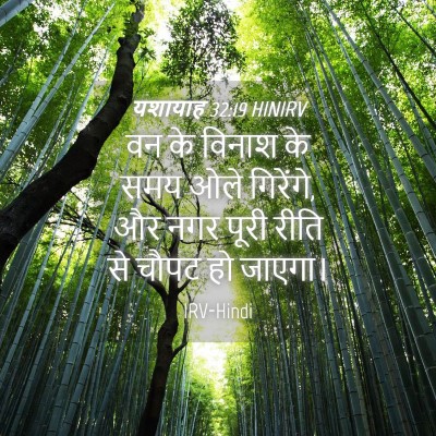Picture 04 - यशायाह 32:19 HINIRV - वन के विनाश के समय - Bible Verse Picture