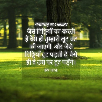 Picture 04 - यशायाह 33:4 HINIRV - जैसे टिड्डियाँ चट - Bible Verse Picture