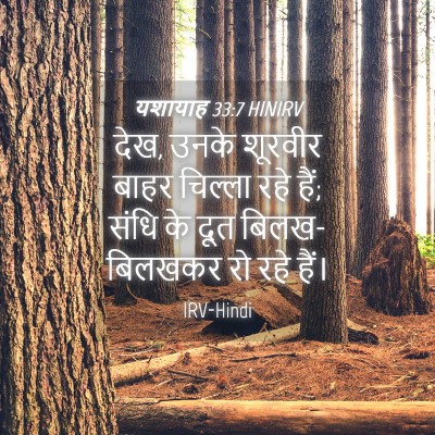 Picture 04 - यशायाह 33:7 HINIRV - देख, उनके शूरवीर - Bible Verse Picture