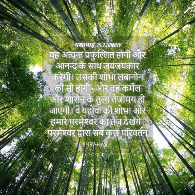 Picture 04 - यशायाह 35:2 HINIRV - वह अत्यन्त - Bible Verse Picture