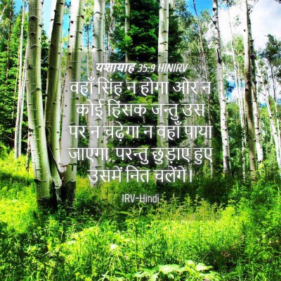 Picture 04 - यशायाह 35:9 HINIRV - वहाँ सिंह न होगा ओर - Bible Verse Picture