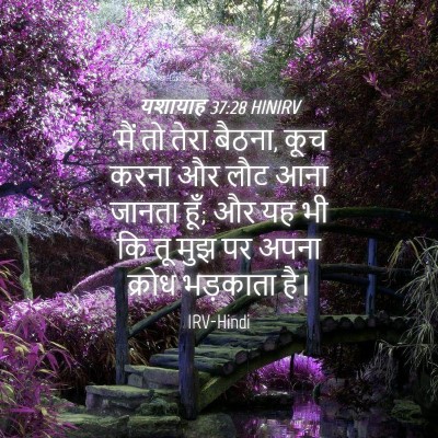 Picture 04 - यशायाह 37:28 HINIRV - 'मैं तो तेरा बैठना, - Bible Verse Picture