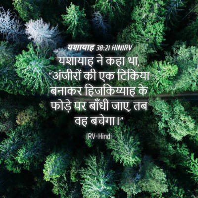 Picture 04 - यशायाह 38:21 HINIRV - यशायाह ने कहा था, - Bible Verse Picture