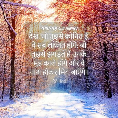 Picture 04 - यशायाह 41:11 HINIRV - देख, जो तुझसे - Bible Verse Picture