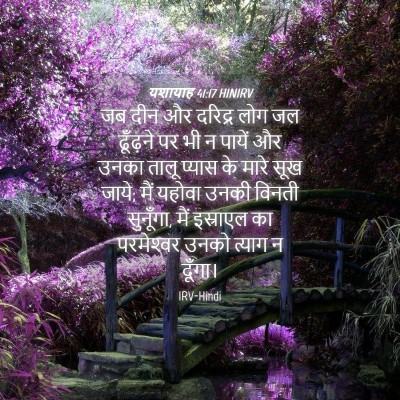 Picture 04 - यशायाह 41:17 HINIRV - जब दीन और दरिद्र - Bible Verse Picture