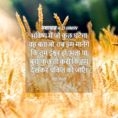 Picture 04 - यशायाह 41:23 HINIRV - भविष्य में जो कुछ - Bible Verse Picture
