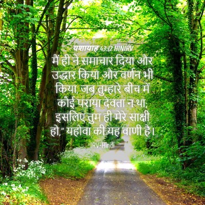Picture 04 - यशायाह 43:12 HINIRV - मैं ही ने समाचार - Bible Verse Picture
