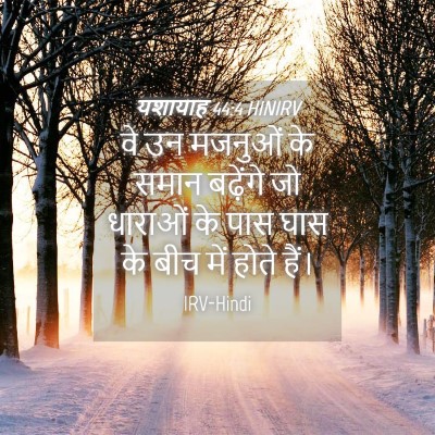 Picture 04 - यशायाह 44:4 HINIRV - वे उन मजनुओं के - Bible Verse Picture