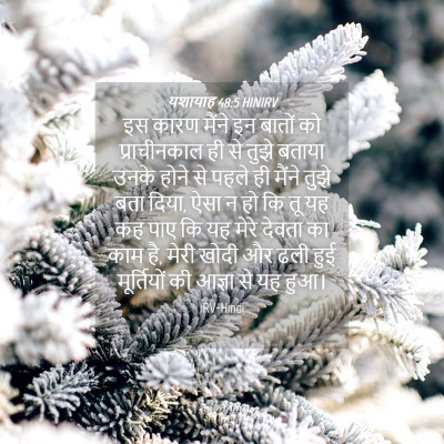 Picture 04 - यशायाह 48:5 HINIRV - इस कारण मैंने इन - Bible Verse Picture