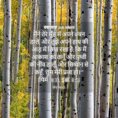 Picture 04 - यशायाह 51:16 HINIRV - मैंने तेरे मुँह - Bible Verse Picture