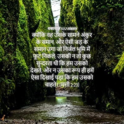 Picture 04 - यशायाह 53:2 HINIRV - क्योंकि वह उसके - Bible Verse Picture