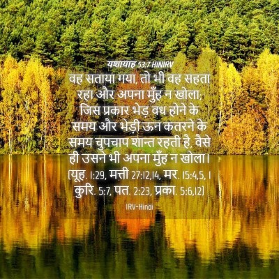 Picture 04 - यशायाह 53:7 HINIRV - वह सताया गया, तो भी - Bible Verse Picture