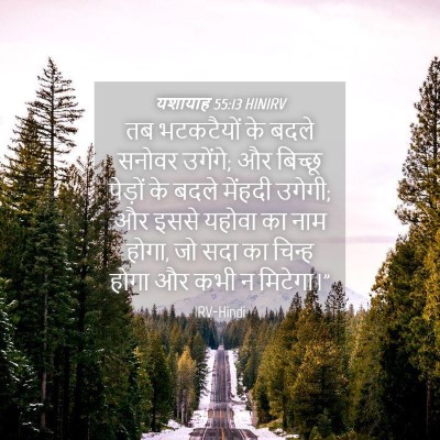Picture 04 - यशायाह 55:13 HINIRV - तब भटकटैयों के - Bible Verse Picture