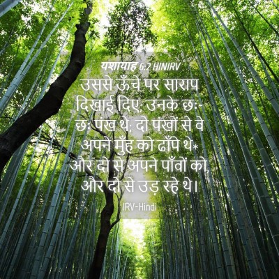 Picture 04 - यशायाह 6:2 HINIRV - उससे ऊँचे पर साराप - Bible Verse Picture