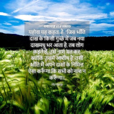 Picture 04 - यशायाह 65:8 HINIRV - यहोवा यह कहता है: - Bible Verse Picture