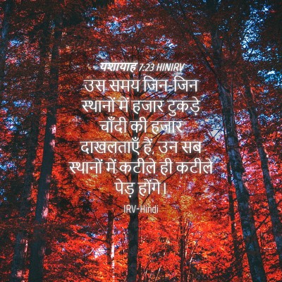 Picture 04 - यशायाह 7:23 HINIRV - उस समय जिन-जिन - Bible Verse Picture