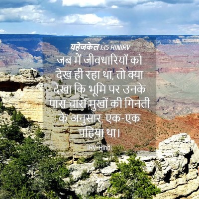 Picture 04 - यहेजकेल 1:15 HINIRV - जब मैं जीवधारियों - Bible Verse Picture
