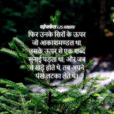 Picture 04 - यहेजकेल 1:25 HINIRV - फिर उनके सिरों के - Bible Verse Picture