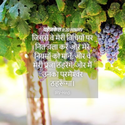 Picture 04 - यहेजकेल 11:20 HINIRV - जिससे वे मेरी - Bible Verse Picture