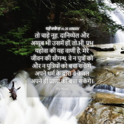 Picture 04 - यहेजकेल 14:20 HINIRV - तो चाहे नूह, - Bible Verse Picture