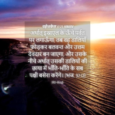 Picture 04 - यहेजकेल 17:23 HINIRV - अर्थात् इस्राएल - Bible Verse Picture
