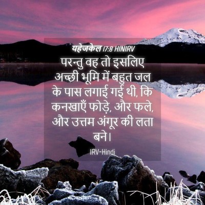 Picture 04 - यहेजकेल 17:8 HINIRV - परन्तु वह तो इसलिए - Bible Verse Picture