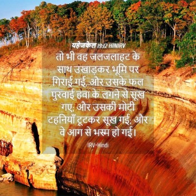 Picture 04 - यहेजकेल 19:12 HINIRV - तो भी वह जलजलाहट के - Bible Verse Picture