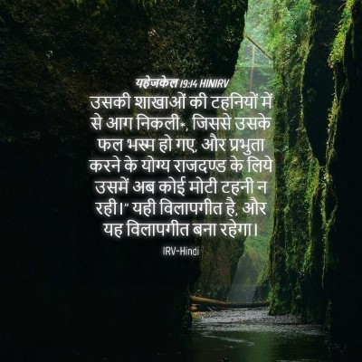 Picture 04 - यहेजकेल 19:14 HINIRV - उसकी शाखाओं की - Bible Verse Picture