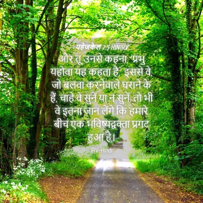Picture 04 - यहेजकेल 2:5 HINIRV - और तू उनसे कहना, - Bible Verse Picture