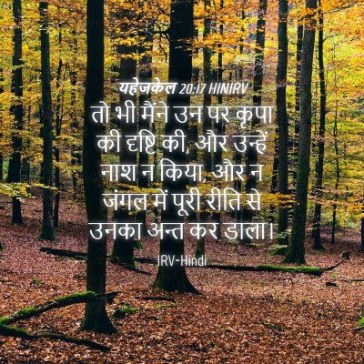 Picture 04 - यहेजकेल 20:17 HINIRV - तो भी मैंने उन पर - Bible Verse Picture
