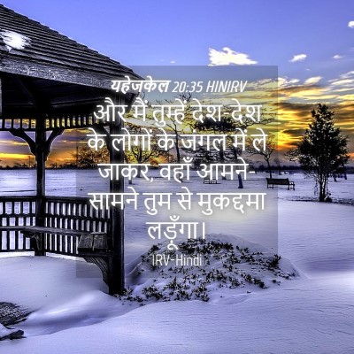 Picture 04 - यहेजकेल 20:35 HINIRV - और मैं तुम्हें - Bible Verse Picture