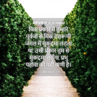 Picture 04 - यहेजकेल 20:36 HINIRV - जिस प्रकार मैं - Bible Verse Picture