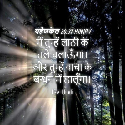 Picture 04 - यहेजकेल 20:37 HINIRV - मैं तुम्हें लाठी - Bible Verse Picture