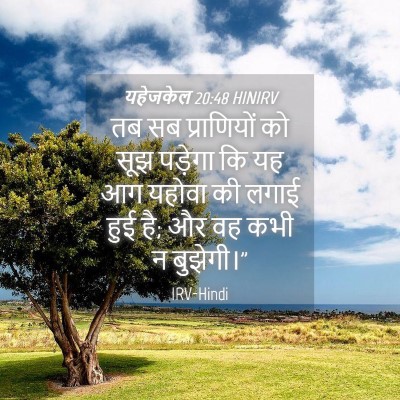 Picture 04 - यहेजकेल 20:48 HINIRV - तब सब प्राणियों को - Bible Verse Picture