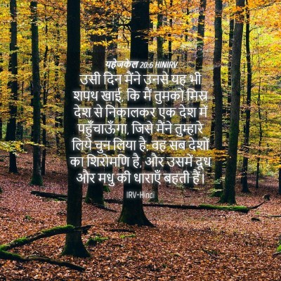 Picture 04 - यहेजकेल 20:6 HINIRV - उसी दिन मैंने उनसे - Bible Verse Picture