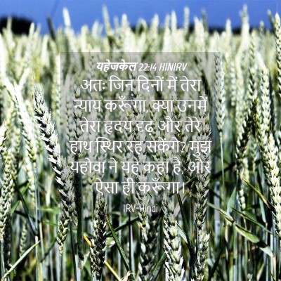 Picture 04 - यहेजकेल 22:14 HINIRV - अतः जिन दिनों में - Bible Verse Picture