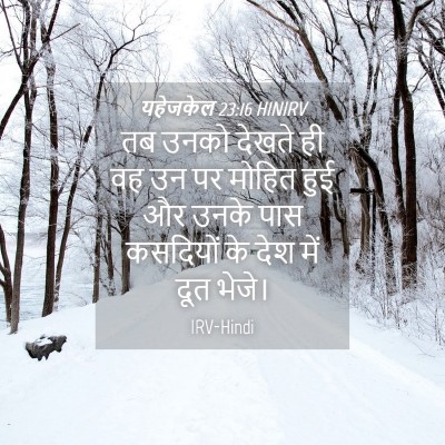 Picture 04 - यहेजकेल 23:16 HINIRV - तब उनको देखते ही वह - Bible Verse Picture