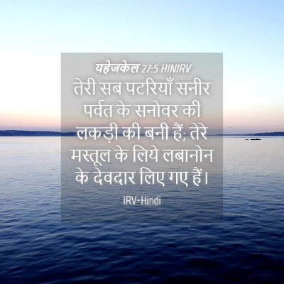 Picture 04 - यहेजकेल 27:5 HINIRV - तेरी सब पटरियाँ - Bible Verse Picture