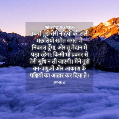 Picture 04 - यहेजकेल 29:5 HINIRV - तब मैं तुझे तेरी - Bible Verse Picture