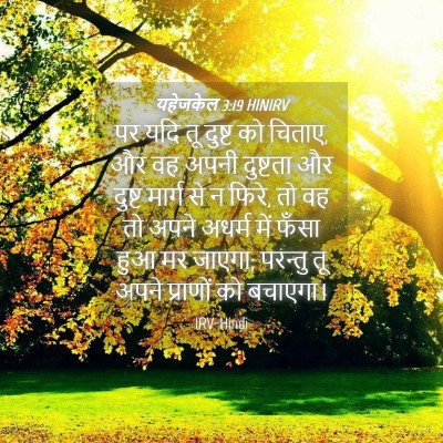 Picture 04 - यहेजकेल 3:19 HINIRV - पर यदि तू दुष्ट को - Bible Verse Picture