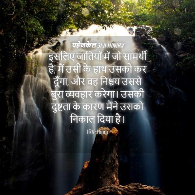 Picture 04 - यहेजकेल 31:11 HINIRV - इसलिए जातियों में - Bible Verse Picture